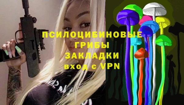 твердый Зерноград