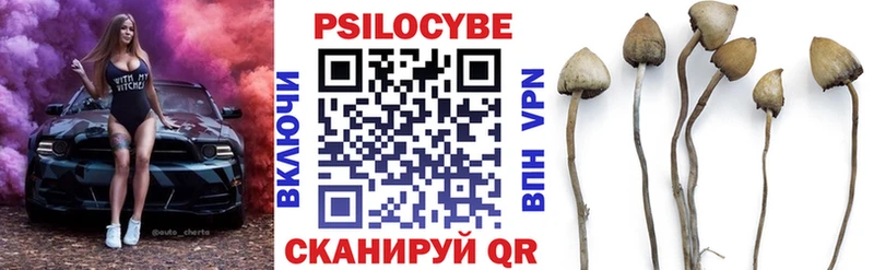 Галлюциногенные грибы GOLDEN TEACHER  Агидель 